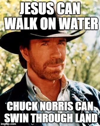 Chuck Norris Meme | JESUS CAN WALK ON WATER; CHUCK NORRIS CAN SWIN THROUGH LAND | image tagged in memes,chuck norris | made w/ Imgflip meme maker