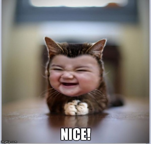 evil toddler kitten | NICE! | image tagged in evil toddler kitten | made w/ Imgflip meme maker