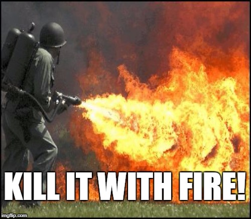 KILL IT WITH FIRE! made w/ Imgflip meme maker.