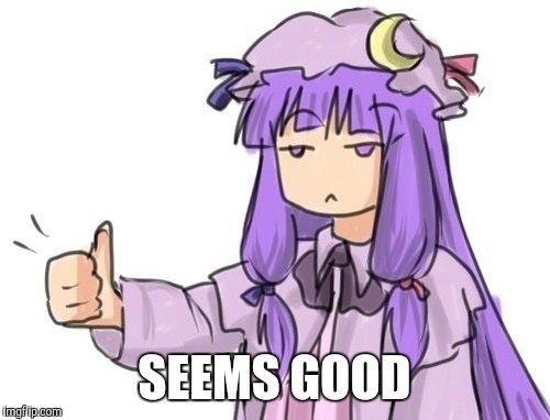 SEEMS GOOD | image tagged in touhou,patchouli knowledge | made w/ Imgflip meme maker