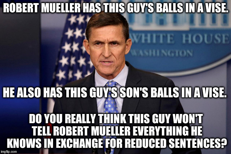 ROBERT MUELLER HAS THIS GUY'S BALLS IN A VISE. HE ALSO HAS THIS GUY'S SON'S BALLS IN A VISE. DO YOU REALLY THINK THIS GUY WON'T TELL ROBERT MUELLER EVERYTHING HE KNOWS IN EXCHANGE FOR REDUCED SENTENCES? | image tagged in general michael flynn national security advisor | made w/ Imgflip meme maker