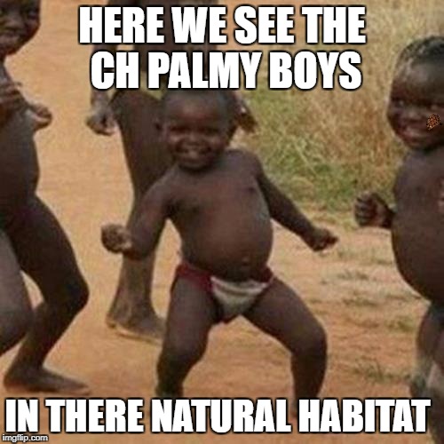 Third World Success Kid Meme | HERE WE SEE THE CH PALMY BOYS; IN THERE NATURAL HABITAT | image tagged in memes,third world success kid,scumbag | made w/ Imgflip meme maker