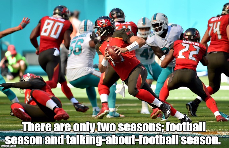 There are only two seasons;
football season and
talking-about-football season. | image tagged in nfl,football,nfl football,take a knee,america,winning | made w/ Imgflip meme maker