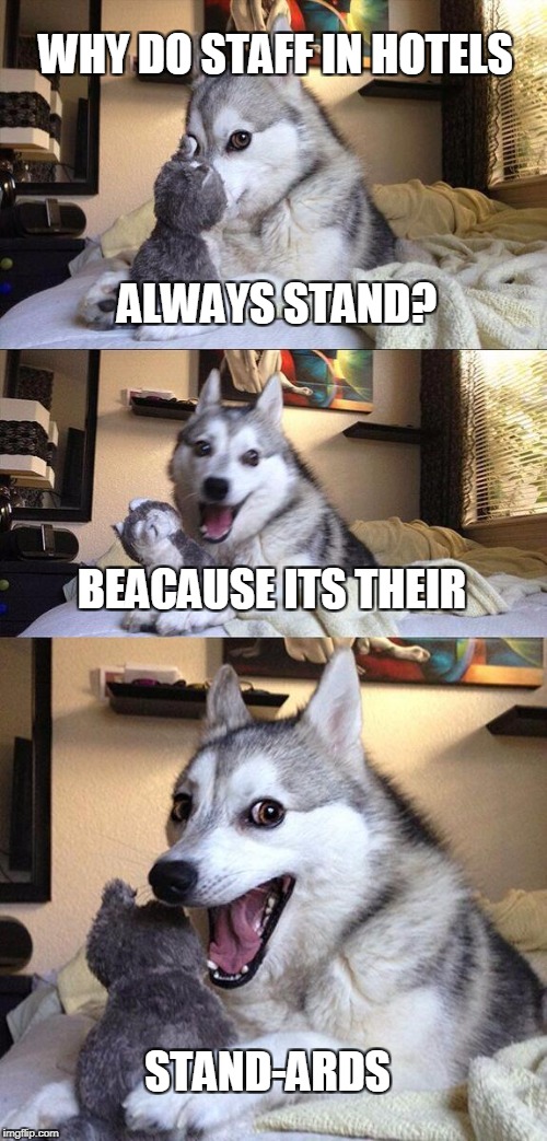 Bad Pun Dog Meme | WHY DO STAFF IN HOTELS; ALWAYS STAND? BEACAUSE ITS THEIR; STAND-ARDS | image tagged in memes,bad pun dog | made w/ Imgflip meme maker
