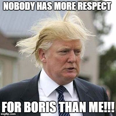 Donald Trump | NOBODY HAS MORE RESPECT; FOR BORIS THAN ME!!! | image tagged in donald trump | made w/ Imgflip meme maker