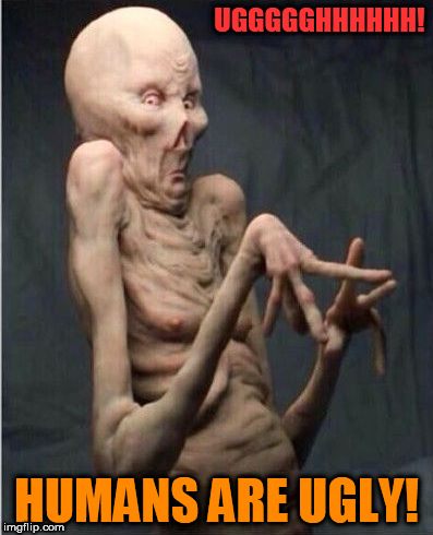 Grossed Out Alien | UGGGGGHHHHHH! HUMANS ARE UGLY! | image tagged in grossed out alien | made w/ Imgflip meme maker