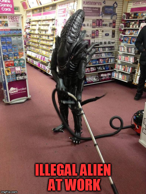 Vacuuming Alien | ILLEGAL ALIEN AT WORK | image tagged in vacuuming alien | made w/ Imgflip meme maker