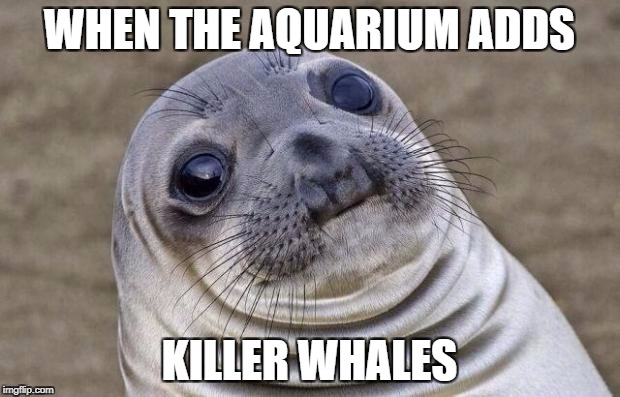 Awkward Moment Sealion Meme | WHEN THE AQUARIUM ADDS; KILLER WHALES | image tagged in memes,awkward moment sealion | made w/ Imgflip meme maker