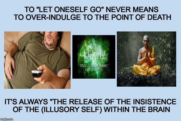 TO "LET ONESELF GO" NEVER MEANS TO OVER-INDULGE TO THE POINT OF DEATH; IT'S ALWAYS "THE RELEASE OF THE INSISTENCE OF THE (ILLUSORY SELF) WITHIN THE BRAIN | made w/ Imgflip meme maker