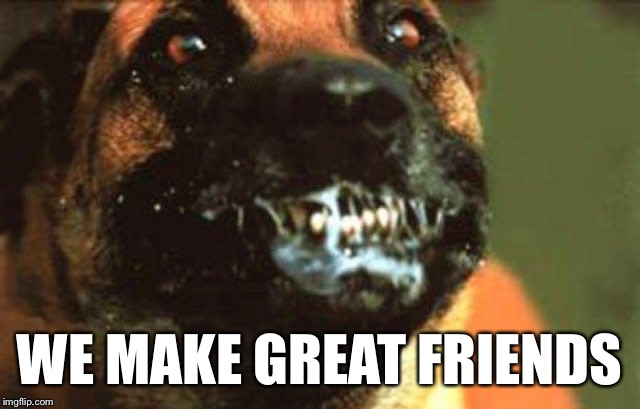 They say a Dog is a mans best friend... | WE MAKE GREAT FRIENDS | image tagged in rabid dog | made w/ Imgflip meme maker
