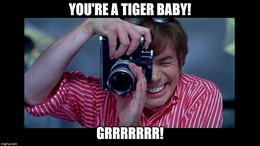 YOU'RE A TIGER BABY! GRRRRRRR! | made w/ Imgflip meme maker