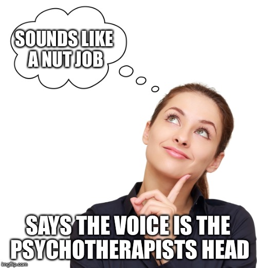 SOUNDS LIKE A NUT JOB SAYS THE VOICE IS THE PSYCHOTHERAPISTS HEAD | made w/ Imgflip meme maker