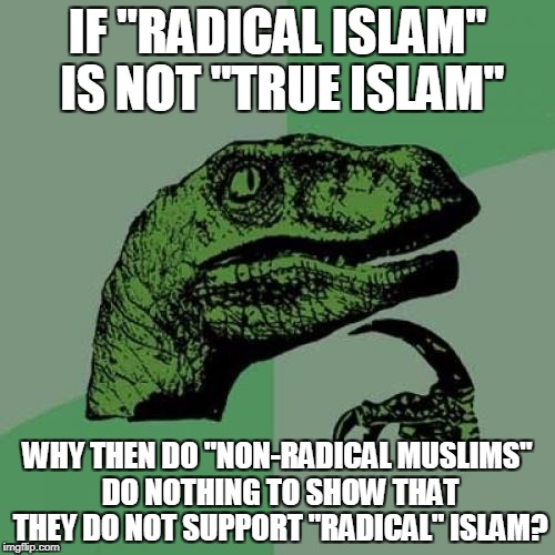 Philosoraptor Ponders Islamic Hypocrisy | IF "RADICAL ISLAM" IS NOT "TRUE ISLAM"; WHY THEN DO "NON-RADICAL MUSLIMS" DO NOTHING TO SHOW THAT THEY DO NOT SUPPORT "RADICAL" ISLAM? | image tagged in memes,philosoraptor,islamic hypocrisy,radical islam,islam is not a religion,islam is not peaceful | made w/ Imgflip meme maker