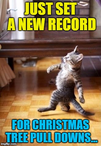 JUST SET A NEW RECORD FOR CHRISTMAS TREE PULL DOWNS... | made w/ Imgflip meme maker
