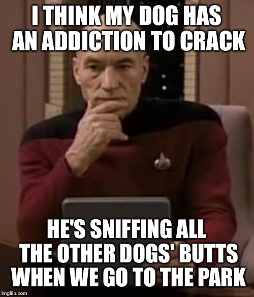 Does my dog need help or is he good? ;D | I THINK MY DOG HAS AN ADDICTION TO CRACK; HE'S SNIFFING ALL THE OTHER DOGS' BUTTS WHEN WE GO TO THE PARK | image tagged in picard thinking,star trek,star trek week,dogs,crack,butts | made w/ Imgflip meme maker