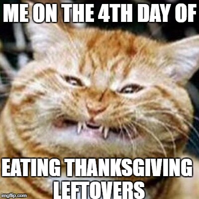 They're almost gone. | ME ON THE 4TH DAY OF; EATING THANKSGIVING LEFTOVERS | image tagged in meme,cat,thanksgiving | made w/ Imgflip meme maker