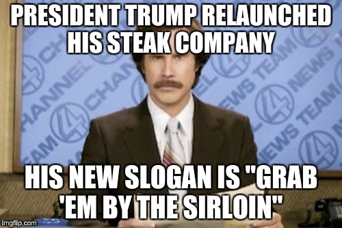 Ron Burgundy Meme | PRESIDENT TRUMP RELAUNCHED HIS STEAK COMPANY; HIS NEW SLOGAN IS "GRAB 'EM BY THE SIRLOIN" | image tagged in memes,ron burgundy,donald trump,funny | made w/ Imgflip meme maker