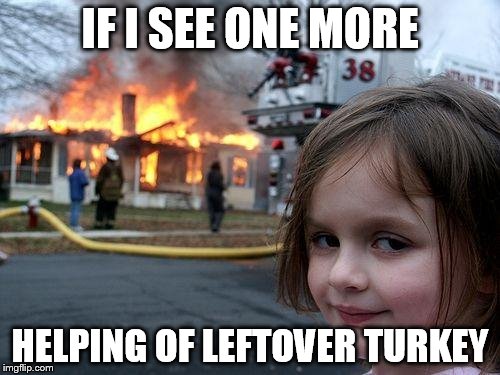 Disaster Girl | IF I SEE ONE MORE; HELPING OF LEFTOVER TURKEY | image tagged in memes,disaster girl | made w/ Imgflip meme maker