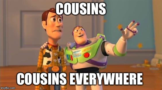 TOYSTORY EVERYWHERE |  COUSINS; COUSINS EVERYWHERE | image tagged in toystory everywhere | made w/ Imgflip meme maker