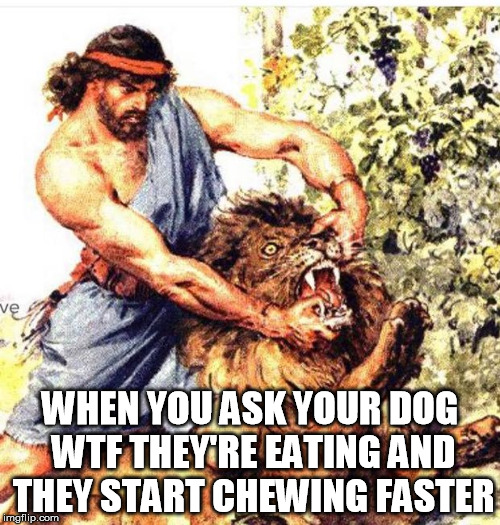 When you ask your dog WTF they're eating and they chew faster | WHEN YOU ASK YOUR DOG WTF THEY'RE EATING AND THEY START CHEWING FASTER | image tagged in lion,medieval meme | made w/ Imgflip meme maker