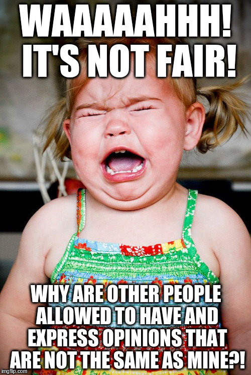 girl toddler crying bawling | WAAAAAHHH! IT'S NOT FAIR! WHY ARE OTHER PEOPLE ALLOWED TO HAVE AND EXPRESS OPINIONS THAT ARE NOT THE SAME AS MINE?! | image tagged in girl toddler crying bawling | made w/ Imgflip meme maker