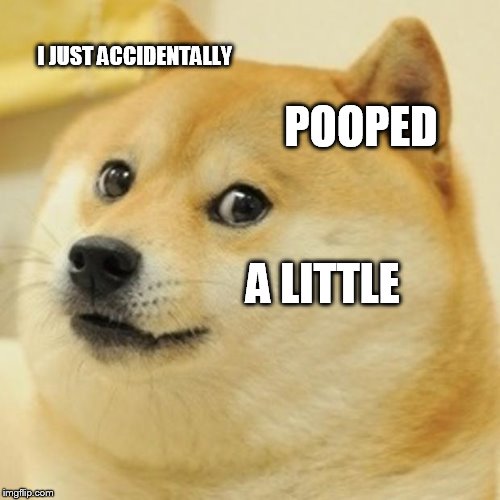 Doge Meme | I JUST ACCIDENTALLY; POOPED; A LITTLE | image tagged in memes,doge | made w/ Imgflip meme maker