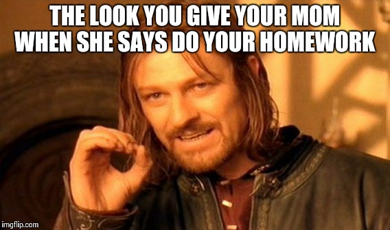 One Does Not Simply Meme | THE LOOK YOU GIVE YOUR MOM WHEN SHE SAYS DO YOUR HOMEWORK | image tagged in memes,one does not simply | made w/ Imgflip meme maker