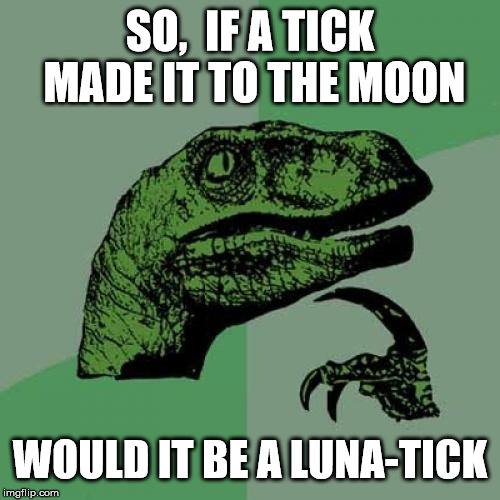 Philosoraptor | SO,  IF A TICK MADE IT TO THE MOON; WOULD IT BE A LUNA-TICK | image tagged in memes,philosoraptor,lunatic | made w/ Imgflip meme maker