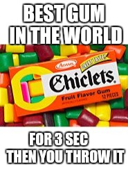 Gum | BEST GUM IN THE WORLD; FOR 3 SEC   
 THEN YOU THROW IT | image tagged in funny | made w/ Imgflip meme maker