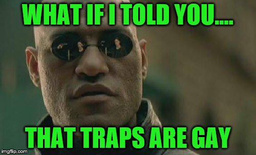 The answer to life, the universe and everything! | WHAT IF I TOLD YOU.... THAT TRAPS ARE GAY | image tagged in memes,matrix morpheus,trap,are traps gay | made w/ Imgflip meme maker