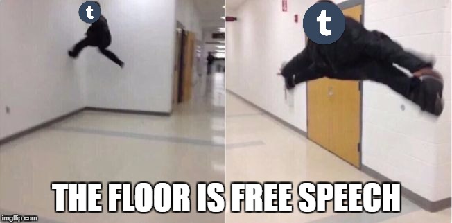floor is lava | THE FLOOR IS FREE SPEECH | image tagged in floor is lava | made w/ Imgflip meme maker