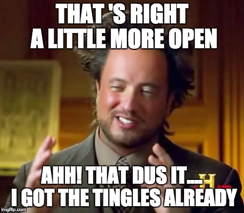 Ancient Aliens Meme | THAT 'S RIGHT A LITTLE MORE OPEN; AHH! THAT DUS IT.... I GOT THE TINGLES ALREADY | image tagged in memes,ancient aliens | made w/ Imgflip meme maker