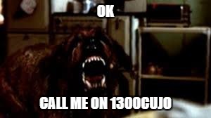 OK CALL ME ON 1300CUJO | made w/ Imgflip meme maker