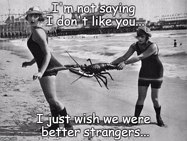 I'm not saying... | I'm not saying I don't like you... I just wish we were better strangers... | image tagged in like,better,strangers | made w/ Imgflip meme maker