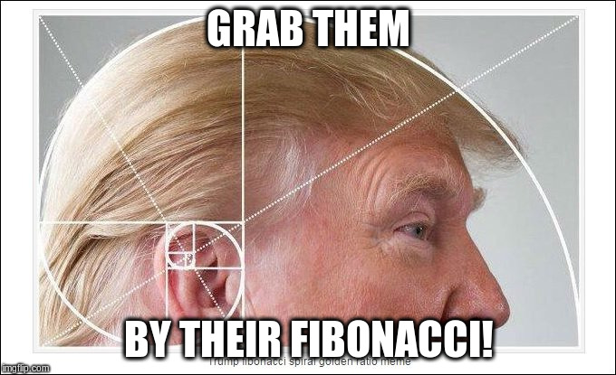 GRAB THEM BY THEIR FIBONACCI! | made w/ Imgflip meme maker