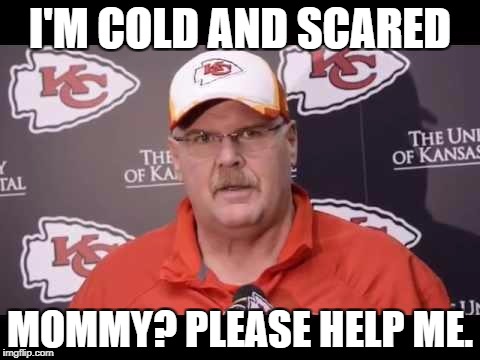 Andy Reid | I'M COLD AND SCARED; MOMMY? PLEASE HELP ME. | image tagged in andy reid | made w/ Imgflip meme maker