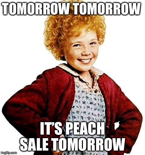annie | TOMORROW TOMORROW; IT’S PEACH SALE TOMORROW | image tagged in annie | made w/ Imgflip meme maker