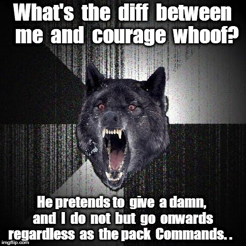 Insanity Wolf Meme | What's  the  diff  between  me  and  courage  whoof? He pretends to  give  a damn,  and  I  do  not  but  go  onwards  regardless  as  the pack  Commands. . | image tagged in memes,insanity wolf | made w/ Imgflip meme maker