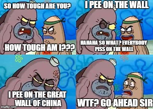 You didn't asked which wall... | I PEE ON THE WALL; SO HOW TOUGH ARE YOU? HAHAHA SO WHAT? EVERYBODY PISS ON THE WALL; HOW TOUGH AM I??? I PEE ON THE GREAT WALL OF CHINA; WTF? GO AHEAD SIR | image tagged in memes,how tough are you,funny,tough,thug life,like a boss | made w/ Imgflip meme maker