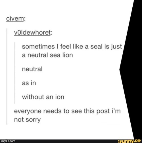 image tagged in seal,sea lion | made w/ Imgflip meme maker