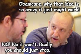 Crazy Obamacare | Obamcare, why that idea is so crazy it just might work! NO! No it won't. Really you should just stop. | image tagged in obamacare,so crazy it might work | made w/ Imgflip meme maker