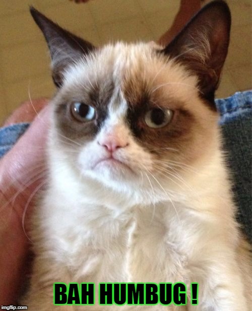 Grumpy Cat Meme | BAH HUMBUG ! | image tagged in memes,grumpy cat | made w/ Imgflip meme maker