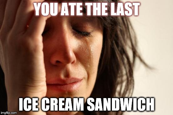 First World Problems Meme | YOU ATE THE LAST; ICE CREAM SANDWICH | image tagged in memes,first world problems | made w/ Imgflip meme maker