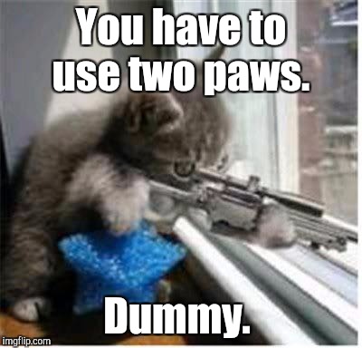 You have to use two paws. Dummy. | made w/ Imgflip meme maker