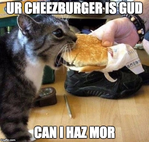 I HAZ CHEEZBURGER | UR CHEEZBURGER IS GUD; CAN I HAZ MOR | image tagged in i haz cheezburger | made w/ Imgflip meme maker