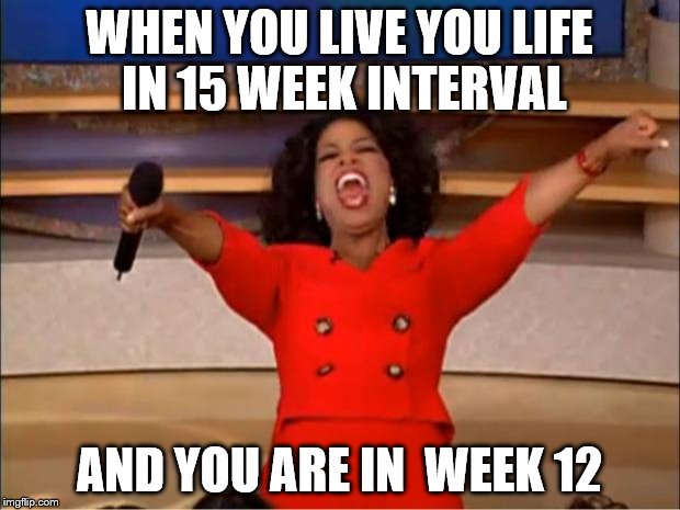 Oprah You Get A | WHEN YOU LIVE YOU LIFE IN 15 WEEK INTERVAL; AND YOU ARE IN  WEEK 12 | image tagged in memes,oprah you get a | made w/ Imgflip meme maker