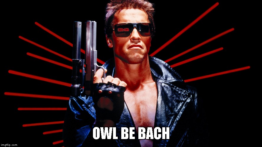 The Terminator | OWL BE BACH | image tagged in memes,arnold schwartzenegger,terminator,i'll be back | made w/ Imgflip meme maker