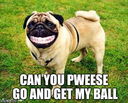 Get My Ball Pweese
 | CAN YOU PWEESE GO AND GET MY BALL | image tagged in dog smile | made w/ Imgflip meme maker