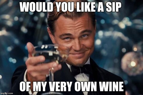 Leonardo Dicaprio Cheers Meme | WOULD YOU LIKE A SIP; OF MY VERY OWN WINE | image tagged in memes,leonardo dicaprio cheers | made w/ Imgflip meme maker
