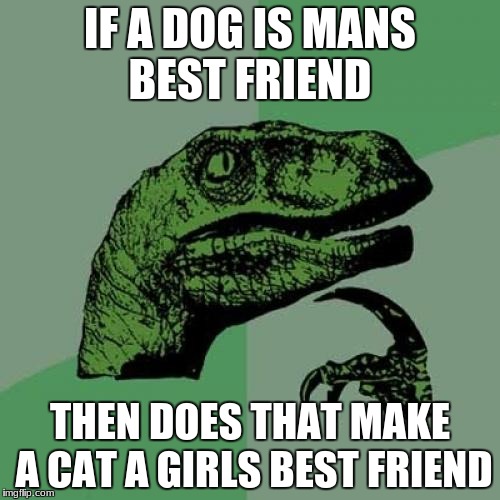 Dog Vs Cat | IF A DOG IS MANS BEST FRIEND; THEN DOES THAT MAKE A CAT A GIRLS BEST FRIEND | image tagged in memes,philosoraptor,cat,dog | made w/ Imgflip meme maker